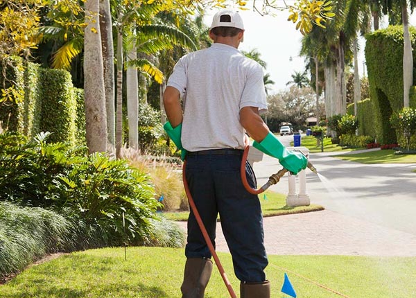 About Monroe GA Pest Control Pros